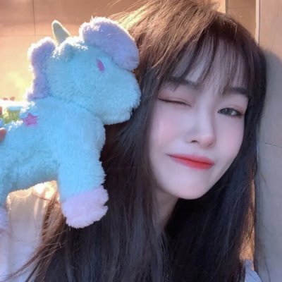 双生赤狐