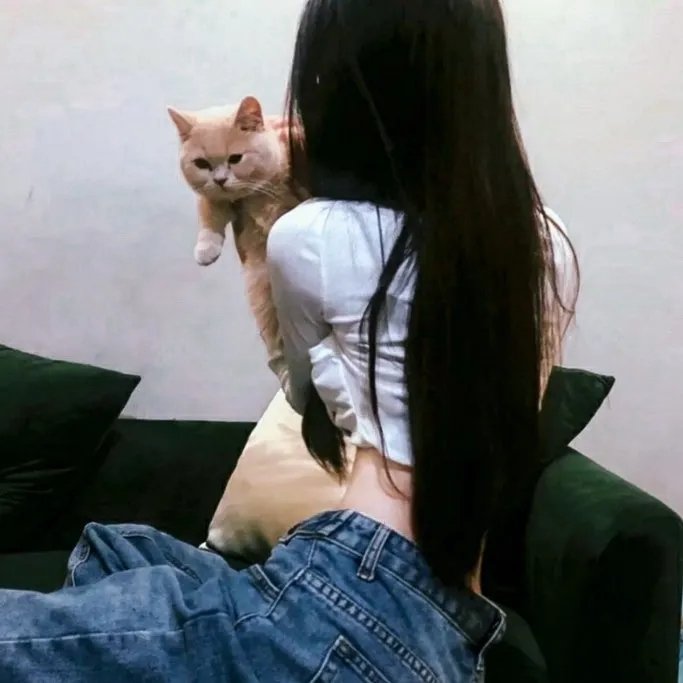 心理追凶第四季